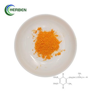 مسحوق الإنزيم المساعد Q10