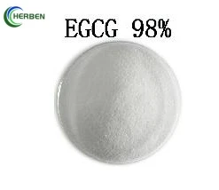 EGCG 98%